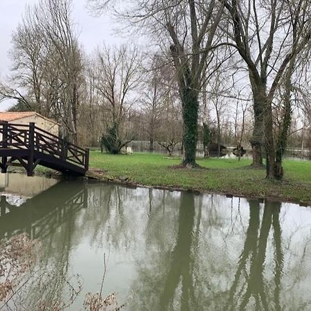 Maison Terrasse Proche Centre Ville Et Ile De Re Ла-Рошель Экстерьер фото